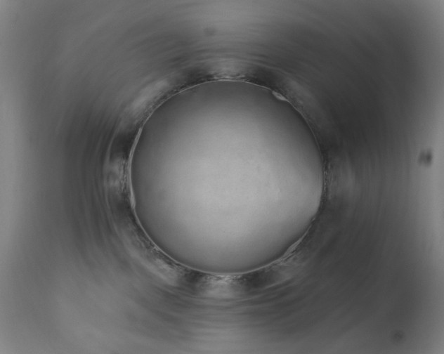 X0000110960093200906191322