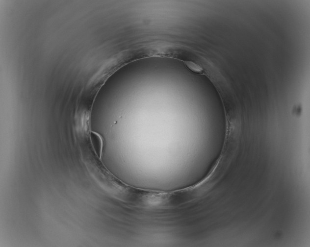 X0000110960094200906191322