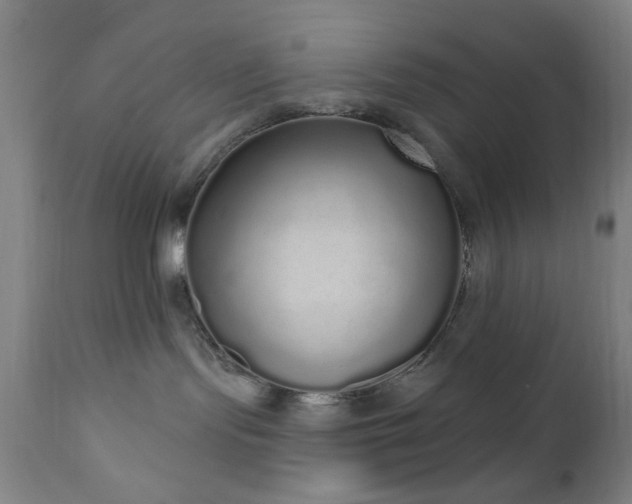 X0000110960095200906191322