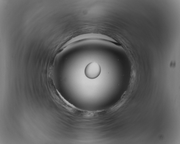 X0000110960096200906191322