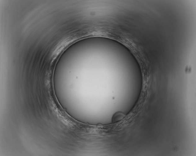 X0000110960098200906191322
