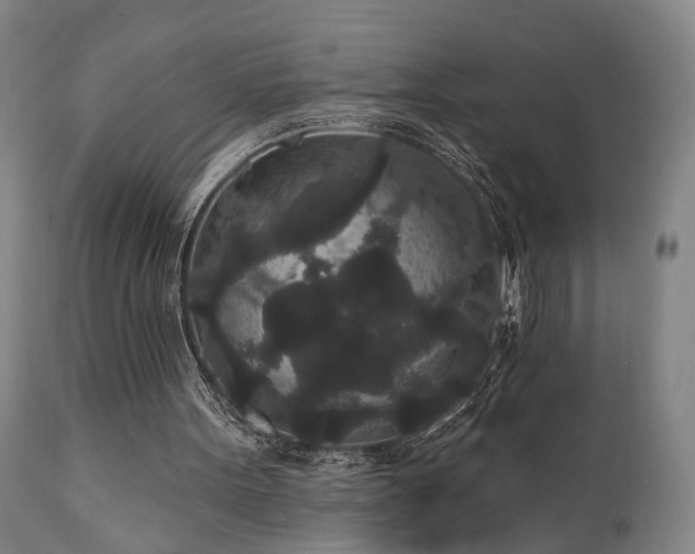 X0000110960099200906191322