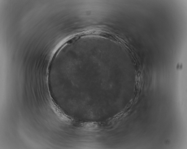 X0000110960100200906191322