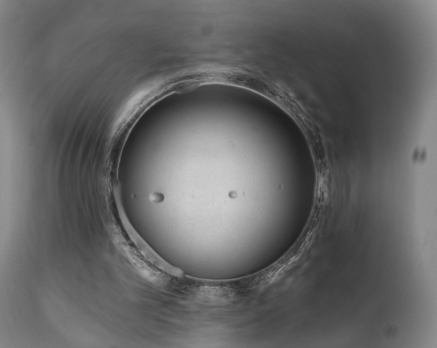 X0000110960101200906191322