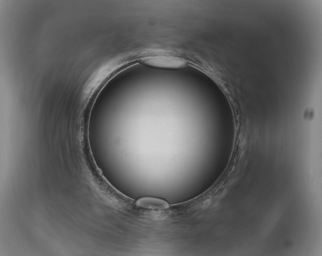 X0000110960103200906191322