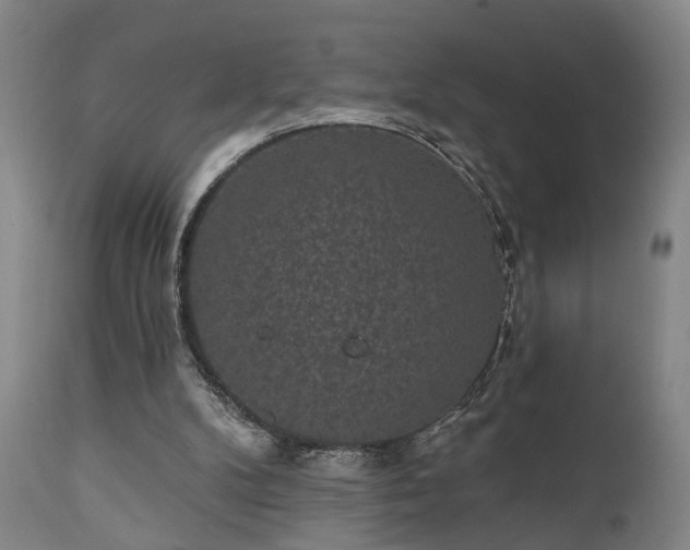 X0000110960104200906191322