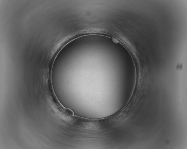 X0000110960107200906191322