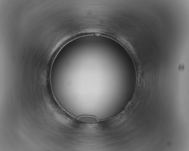 X0000110960108200906191321