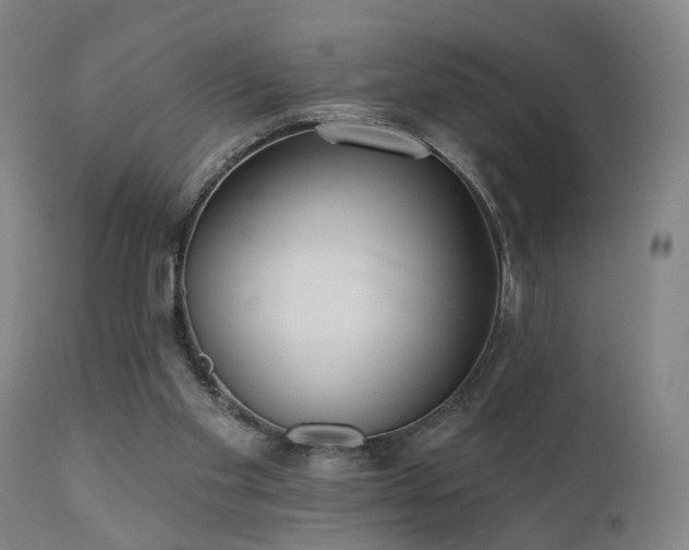 X0000110960109200906191321