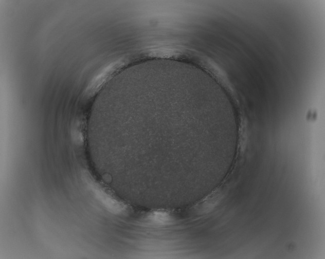 X0000110960114200906191321