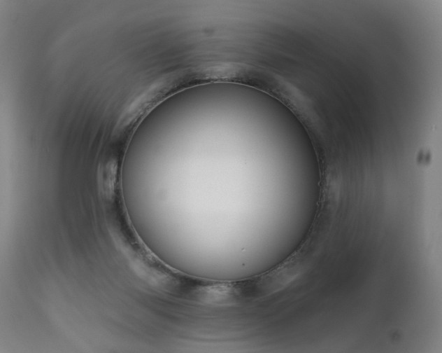 X0000110960118200906191321