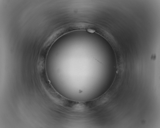 X0000110960119200906191321