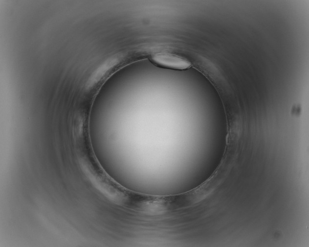 X0000110960120200906191321