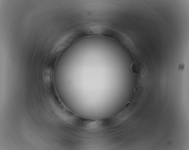X0000110960122200906191321