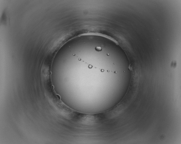 X0000110960123200906191321