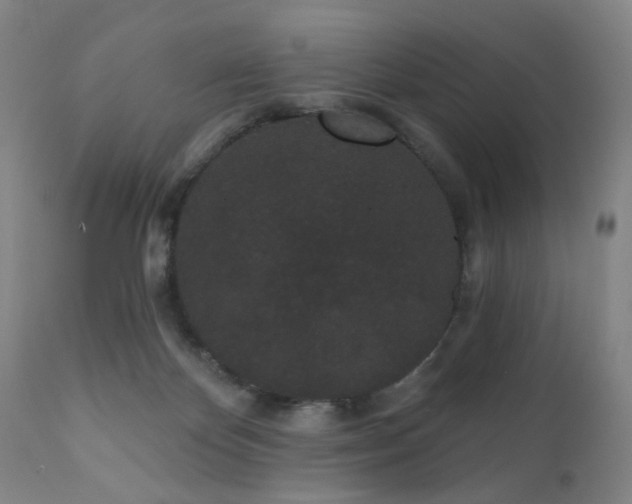 X0000110960124200906191321