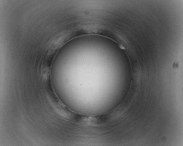 X0000110960125200906191321