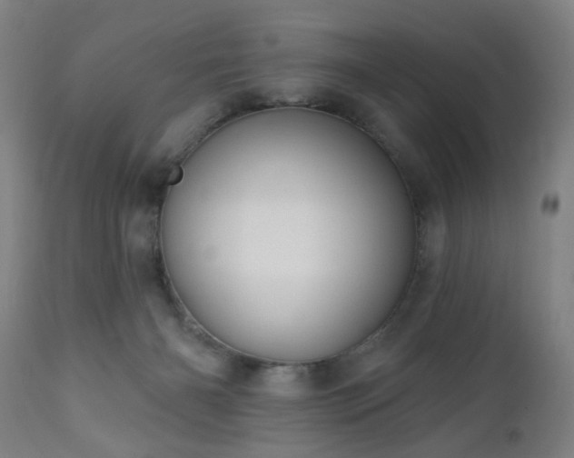 X0000110960126200906191321