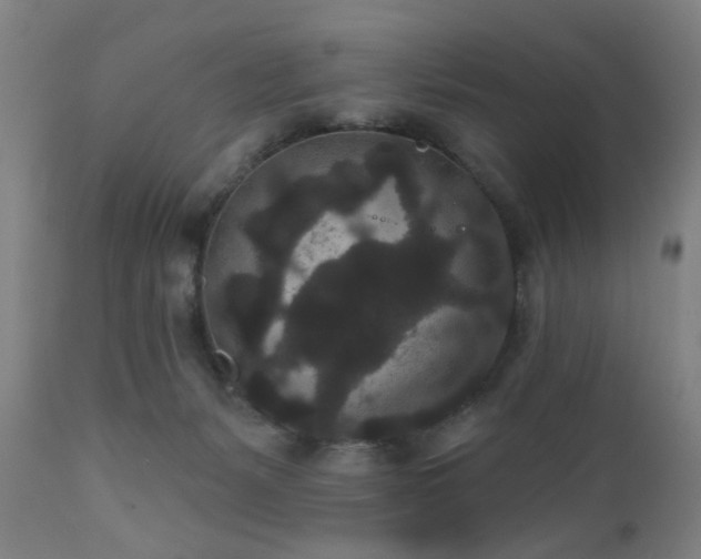 X0000110960127200906191321