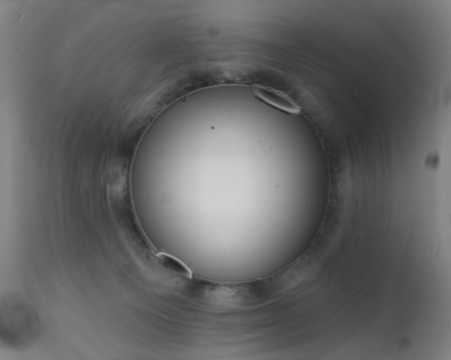 X0000110960129200906191321