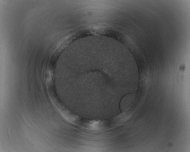 X0000110960130200906191321