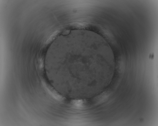 X0000110960131200906191321