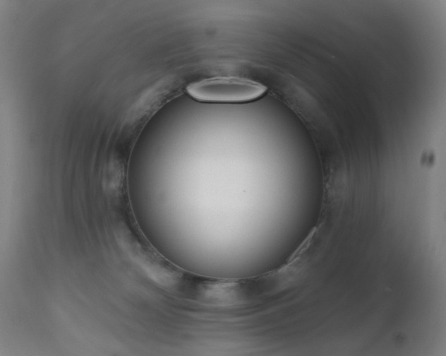 X0000110960132200906191321