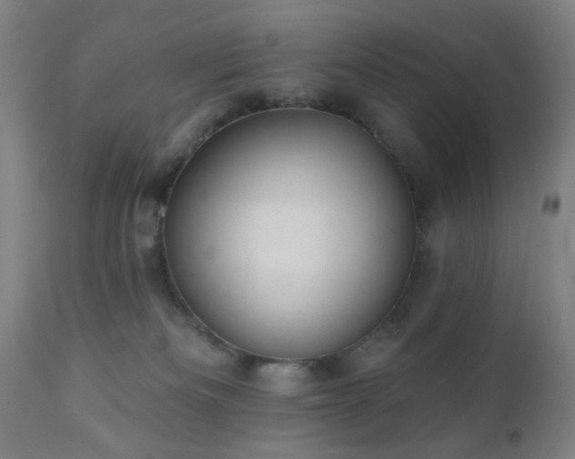 X0000110960133200906191321