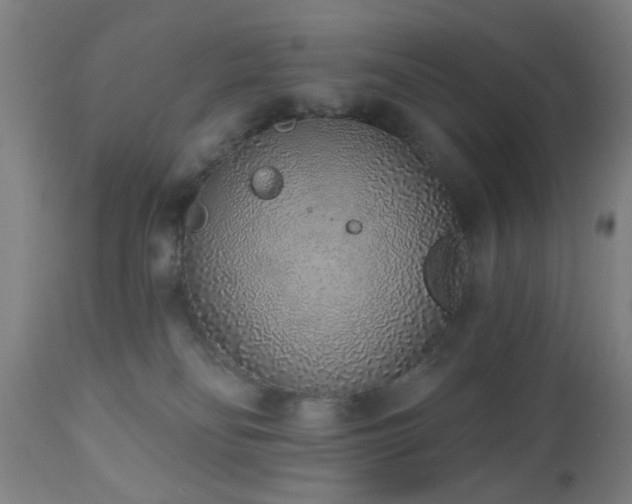 X0000110960134200906191321