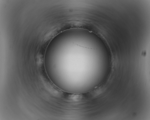 X0000110960135200906191321