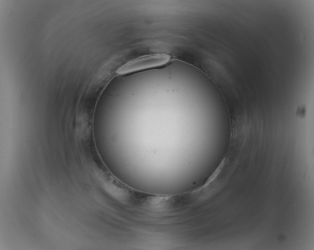 X0000110960136200906191321