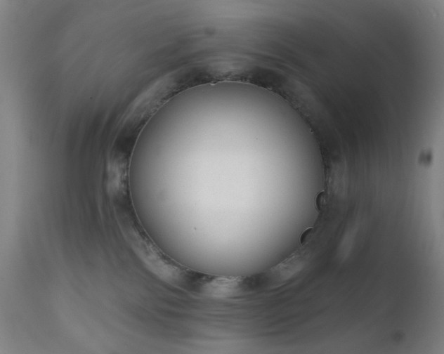 X0000110960138200906191321