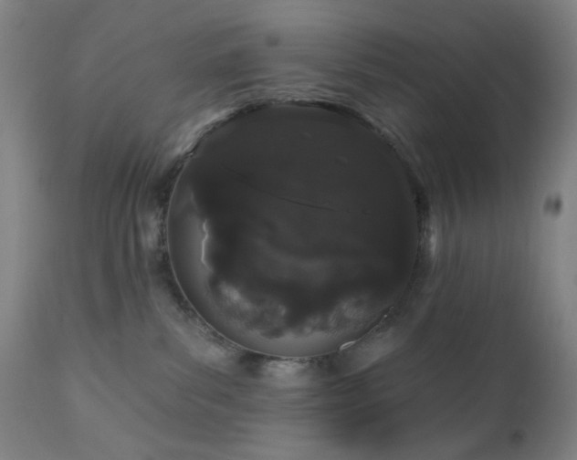 X0000110960139200906191321