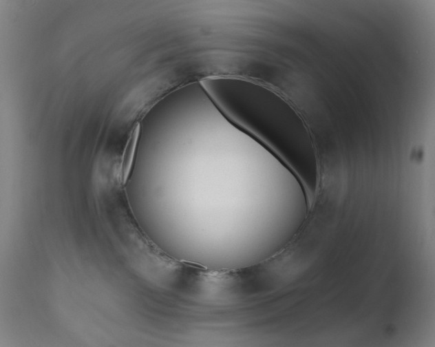 X0000110960141200906191321