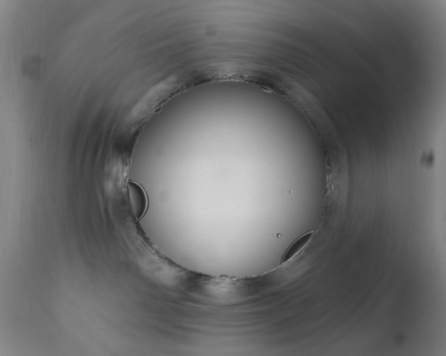 X0000110960142200906191321