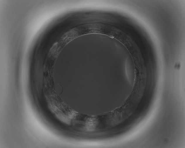 X0000110960143200906191321