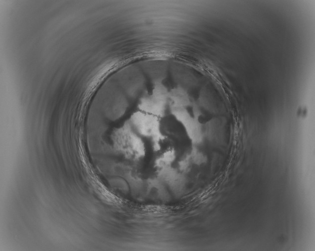 X0000110960145200906191320