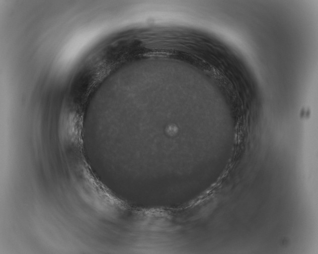 X0000110960146200906191320
