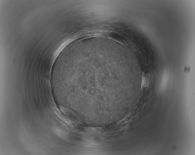 X0000110960147200906191320