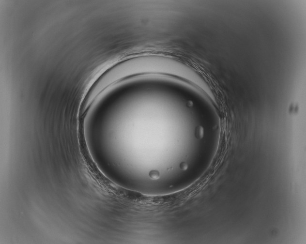 X0000110960148200906191320