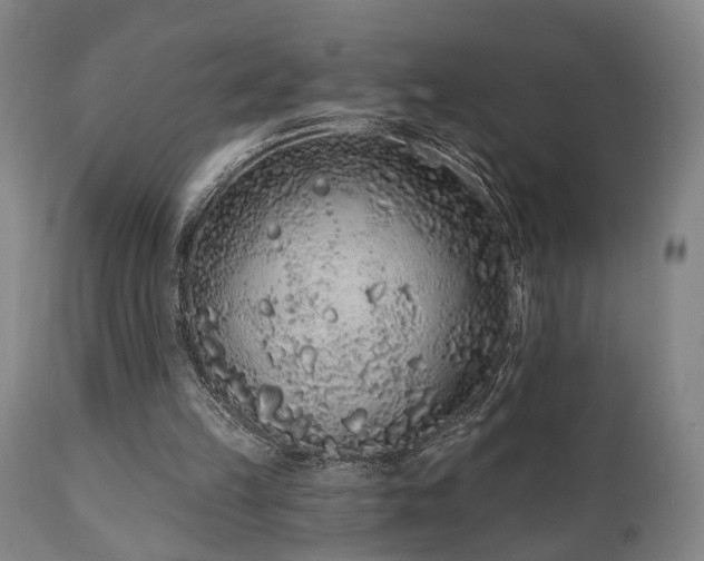 X0000110960149200906191320