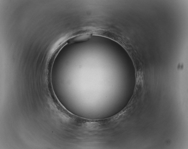 X0000110960150200906191320