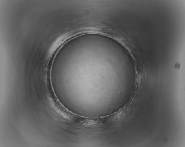 X0000110960151200906191320