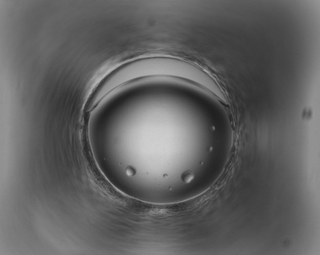 X0000110960152200906191320