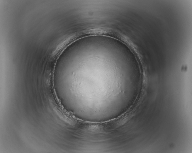X0000110960153200906191320