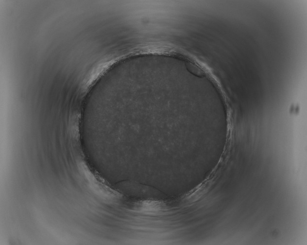 X0000110960154200906191320