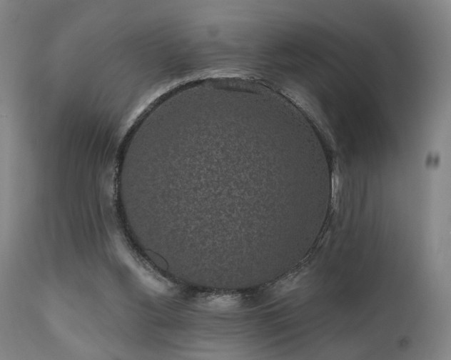X0000110960156200906191320