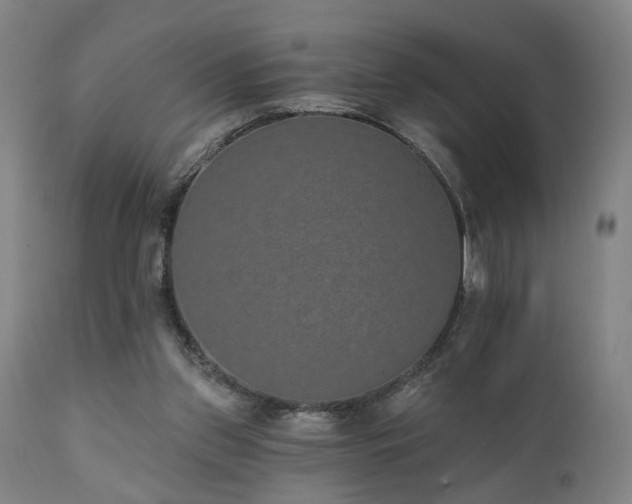 X0000110960157200906191320