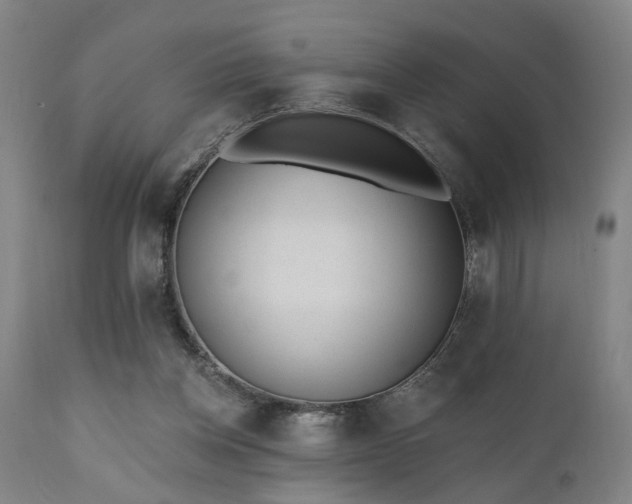 X0000110960158200906191320