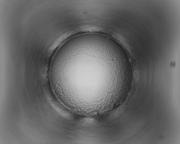 X0000110960159200906191320